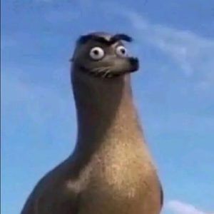 Meet your Posher, Thi